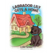 Labrador Lily Gets A Home