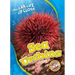 Sea Urchins