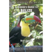 A Birder's Guide to Belize