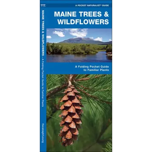 Maine Trees & Wildflowers: A Folding Pocket Guide to Familiar Plants