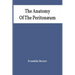 The Anatomy Of The Peritonæum