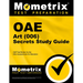Oae Art (006) Secrets Study Guide: Oae Test Review for the Ohio Assessments for Educators