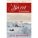 A Secret Christmas (Amish Secrets 7)