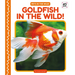 Goldfish in the Wild!