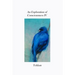 An Exploration of Consciousness IV