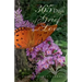 365 Days of Grief and Love