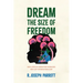 Dream the Size of Freedom: How African Liberation Mobilized New Left Internationalism