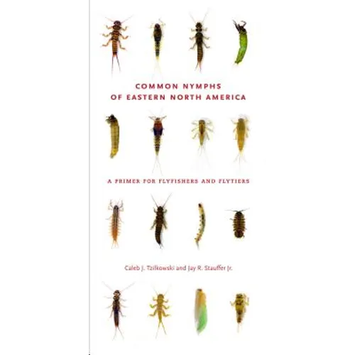 Common Nymphs of Eastern North America: A Primer for Flyfishers and Flytiers
