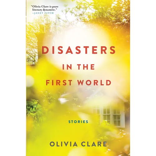 Disasters in the First World: Stories