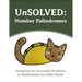 UnSOLVED: Number Palindromes: Advanced Yet Accessible Problems in Mathematics