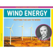 Wind Energy: Putting the Air to Work: Putting the Air to Work
