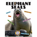 Elephant Seals