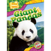 Giant Pandas