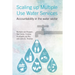 Scaling Up Multiple Use Water Services: Accountability in the Water Sector