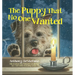 The Puppy That No One Wanted