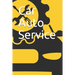 Car Auto Service