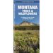 Montana Trees & Wildflowers