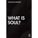What Is Soul?