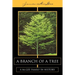 A Branch of a Tree