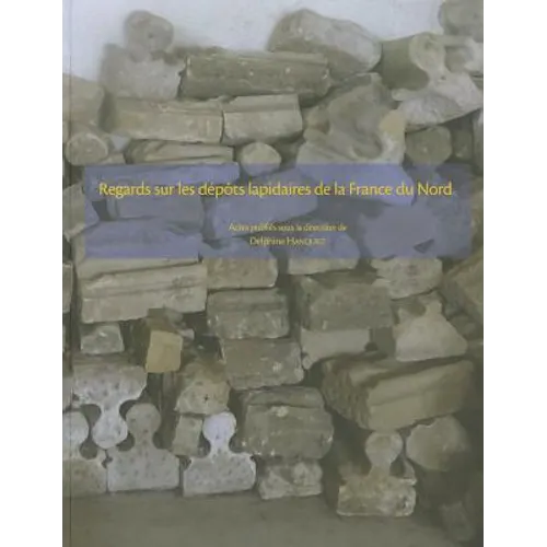 Regards Sur Les Depots Lapidaires de la France Du Nord