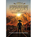 1882: A Gold Mountain Odyssey: A Novel of an Immigrant's Journey through Gold, Exclusion, and Transformation