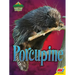 Porcupine