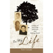 In My Life: A Story of Surviving Addiction and Defying Death