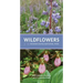 Wildflowers of the Indiana Dunes National Park