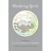 Wandering Spirits: Chen Shiyuan's Encyclopedia of Dreams