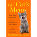 The Cat's Meow: How Cats Evolved from the Savanna to Your Sofa