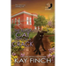 The Black Cat Steps on a Crack