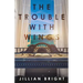 The Trouble with Wings