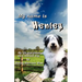 My Name Is Henley: My Life and Times as a Rescued Dog