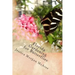 Florida Gardening for Butterflies