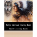 Native American Coloring Book For Adults: Beautiful One Sided Native American Designs