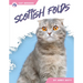 Scottish Folds