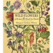 Wild Flowers of Britain: Month by Month