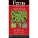 Ferns & Allies of the North Woods: A Handy Field Reference to All 86 of Our Ferns and Allies