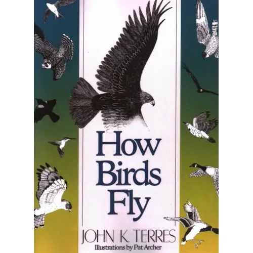 How Birds Fly