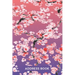 Address Book for Women: Address Organizer for Girls Women & Flower Lovers - Pink Cherry Blossom