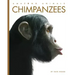 Chimpanzees