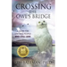 Crossing the Owl's Bridge: A Guide for Grieving People Who Still Love