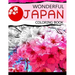 Wonderful Japan Coloring Book: A cities coloring book for adults