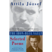 The Iron-Blue Vault: Selected Poems
