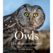 Owls: The Majestic Hunters