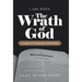 1,260 Days: the Wrath of God: A Layperson's Perspective of Revelation