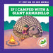 If I Camped with a Giant Armadillo