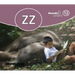 Sounds and Letters Long U: Book 22