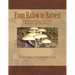 From Hallow to Harvest: Celebrations for the Wheel of the Year