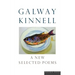 A New Selected Poems